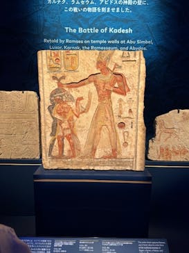 ACN ラムセス大王展 ファラオたちの黄金に投稿された画像（2025/8/17）
