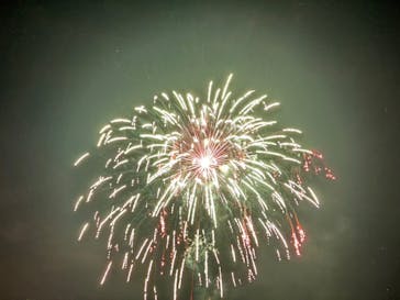 滋賀農業公園ブルーメの丘に投稿された画像（2025/8/17）