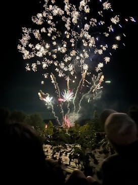 滋賀農業公園ブルーメの丘に投稿された画像（2025/8/17）