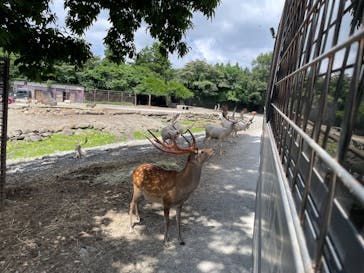 那須サファリパークに投稿された画像（2025/8/17）