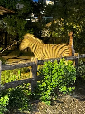 名古屋市東山動植物園に投稿された画像（2025/8/17）