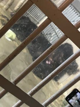 名古屋市東山動植物園に投稿された画像（2025/8/17）