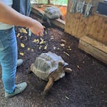 体感型動物園iZooに投稿された画像（2025/8/18）