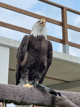 那須どうぶつ王国に投稿された画像（2025/8/17）
