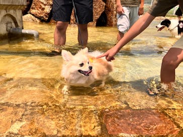 滋賀農業公園ブルーメの丘に投稿された画像（2025/8/17）