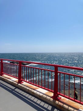 江の島シーキャンドル×新江ノ島水族館に投稿された画像（2025/8/17）