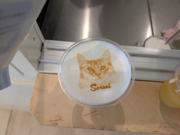 Cat Café MOFF グランベリーパーク店に投稿された画像（2025/8/17）