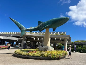 沖縄美ら海水族館に投稿された画像（2025/8/17）