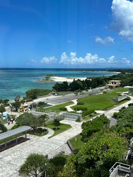 沖縄美ら海水族館に投稿された画像（2025/8/17）