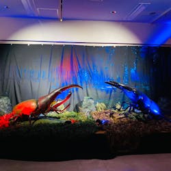 虫たちのナイトワンダーランドに投稿された画像（2025/8/17）