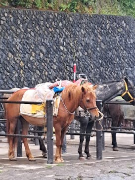 富士山吉田ルート（山梨県）に投稿された画像（2025/8/17）