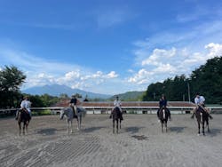 ホワイトサドルに投稿された画像（2025/8/17）