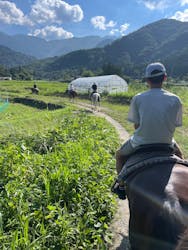 ホワイトサドルに投稿された画像（2025/8/17）