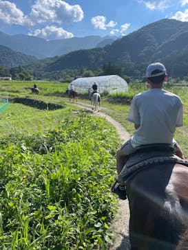 ホワイトサドルに投稿された画像（2025/8/17）