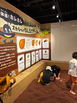 体感するファーブル昆虫展in横浜赤レンガ倉庫に投稿された画像（2025/8/17）