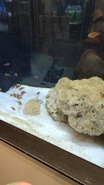 九十九島水族館海きららに投稿された画像（2025/8/17）