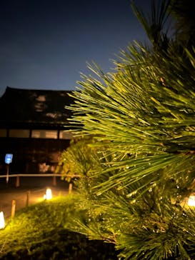 NAKED meets 二条城 2025 観月に投稿された画像（2025/8/17）