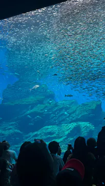 仙台うみの杜水族館に投稿された画像（2025/8/17）