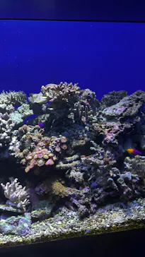 仙台うみの杜水族館に投稿された画像（2025/8/17）