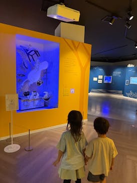 ムーミンバレーパークに投稿された画像（2025/8/17）