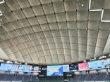 TOKYO DOME PARK DAYに投稿された画像（2025/8/18）