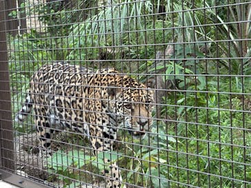 名古屋市東山動植物園に投稿された画像（2025/8/18）