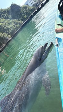 太地町立くじらの博物館に投稿された画像（2025/8/18）