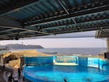 新江ノ島水族館に投稿された画像（2025/8/18）