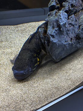 AOAO SAPPOROに投稿された画像（2025/8/18）