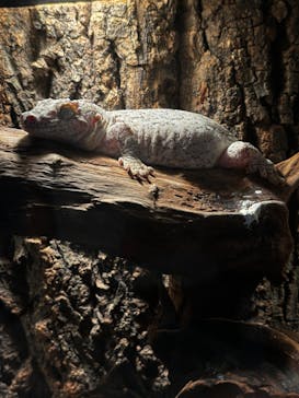 AOAO SAPPOROに投稿された画像（2025/8/18）