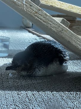 AOAO SAPPOROに投稿された画像（2025/8/18）