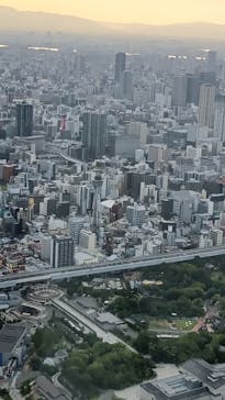 ハルカス300(展望台)に投稿された画像（2025/8/18）