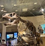 国立科学博物館に投稿された画像（2025/8/18）