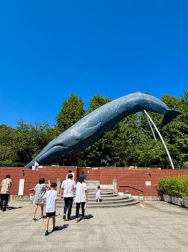 国立科学博物館に投稿された画像（2025/8/18）
