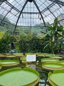 熱川バナナワニ園に投稿された画像（2025/8/18）