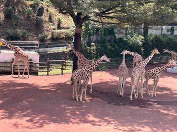 多摩動物公園に投稿された画像（2025/8/18）