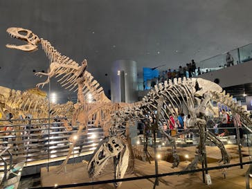 福井県立恐竜博物館に投稿された画像（2025/8/18）