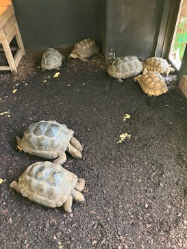 体感型カエル館KawaZooに投稿された画像（2025/8/18）