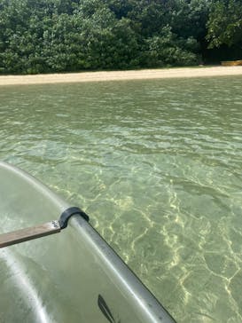 SHISHI石垣島（シシイシガキジマ）に投稿された画像（2025/8/18）