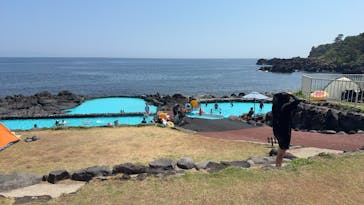 伊豆海洋公園磯プールに投稿された画像（2025/8/18）