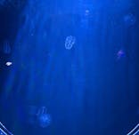 マリンワールド海の中道に投稿された画像（2025/8/18）