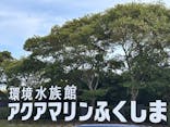 環境水族館アクアマリンふくしまに投稿された画像（2025/8/18）