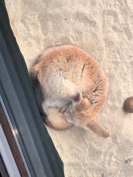 環境水族館アクアマリンふくしまに投稿された画像（2025/8/18）