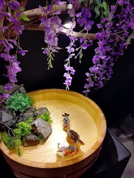 錦鯉・金魚アクアリウム in ときメッセに投稿された画像（2025/8/18）