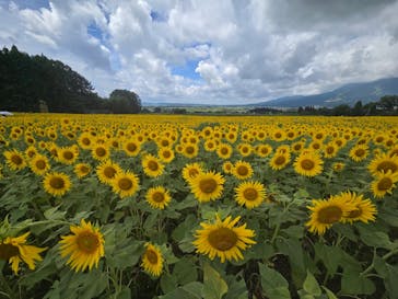 猪苗代ハーブ園に投稿された画像（2025/8/18）