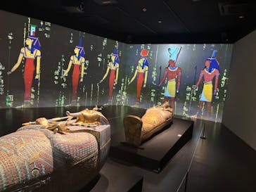 MYSTERY OF TUTANKHAMEN 体感型古代エジプト展に投稿された画像（2025/8/18）