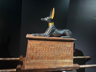 MYSTERY OF TUTANKHAMEN 体感型古代エジプト展に投稿された画像（2025/8/18）