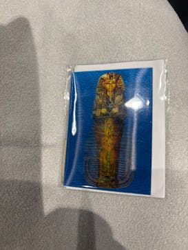 MYSTERY OF TUTANKHAMEN 体感型古代エジプト展に投稿された画像（2025/8/18）