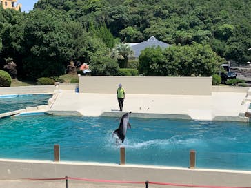 太地町立くじらの博物館に投稿された画像（2025/8/18）