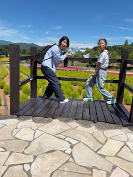 牧歌の里に投稿された画像（2025/8/18）